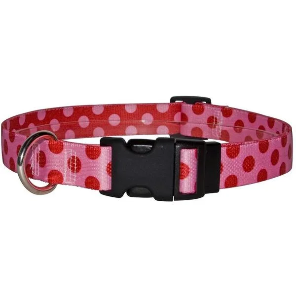 Yellow Dog Design – Valentine Polka Dot Cat Collar