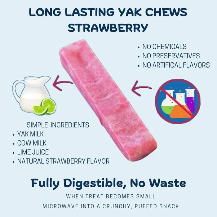 Yeti Dog Chew – Yeti Fruit Chews Large, Coconut, Mango, Strawberry