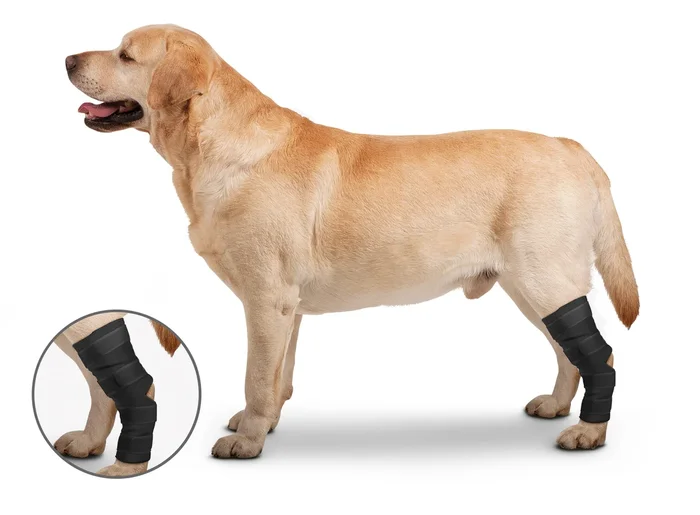 ZENPET – OrthoWrap Hock Protector